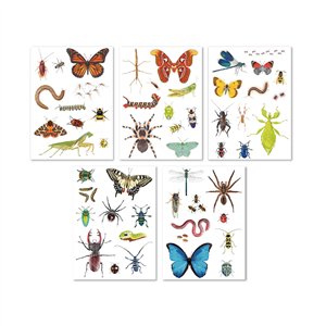 Stickerset Insectenwereld 5 Stickerset Insectenwereld - Afbeelding 3